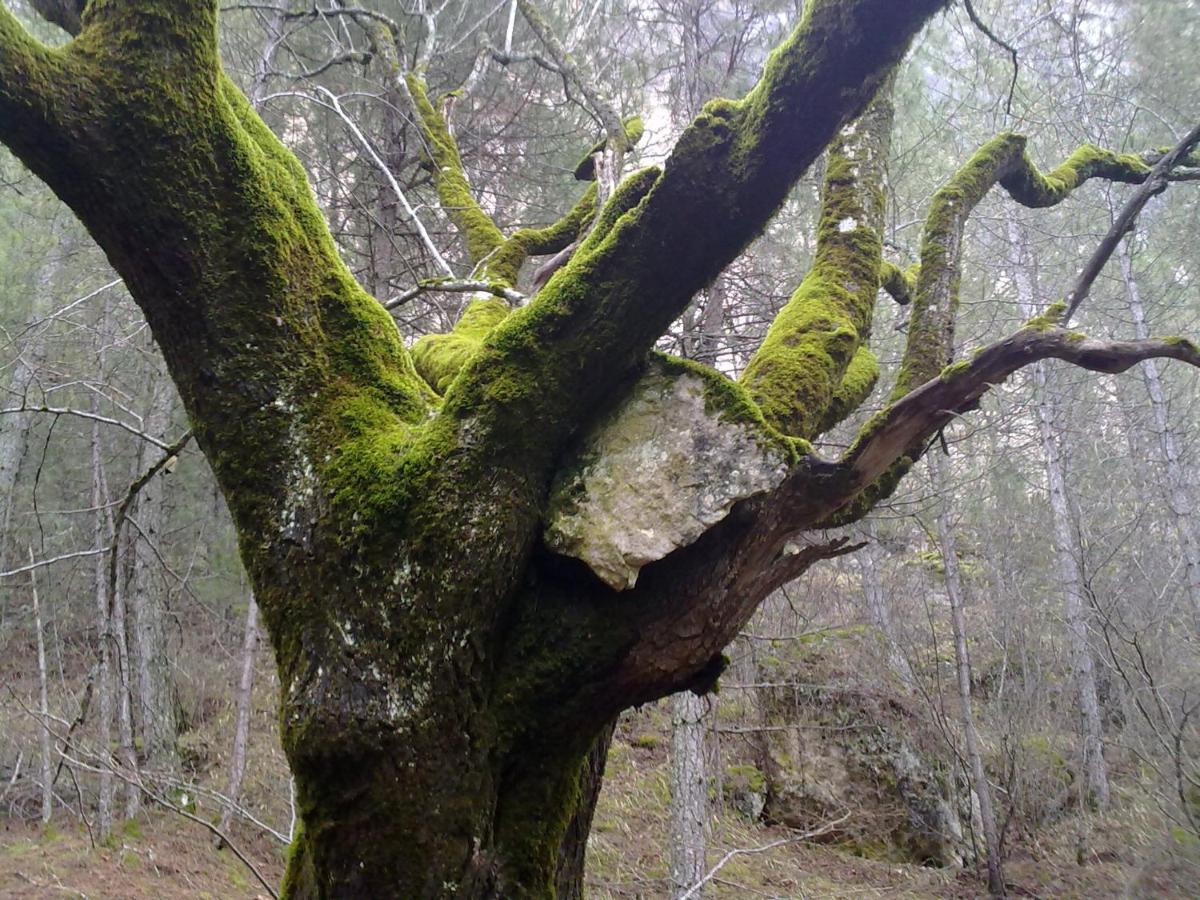 Alojamientos Rurales La Hoz Beteta Esterno foto