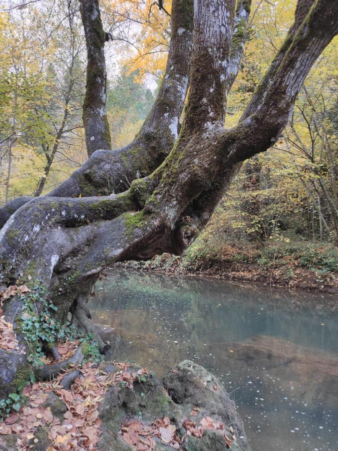 Alojamientos Rurales La Hoz Beteta Esterno foto